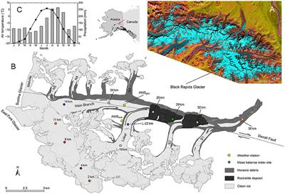 Mass Balance Evolution of Black Rapids Glacier, Alaska, 1980–2100, and Its Implications for Surge Recurrence